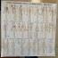 Feuille Méridiens : Branches tendinomusculaires, différentes, extraordinaires, principales et collatérales (mesures de la feuille : 70x50 cm) - OUTLET